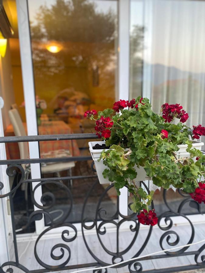 Villa Mare Apartments Tivat Buitenkant foto