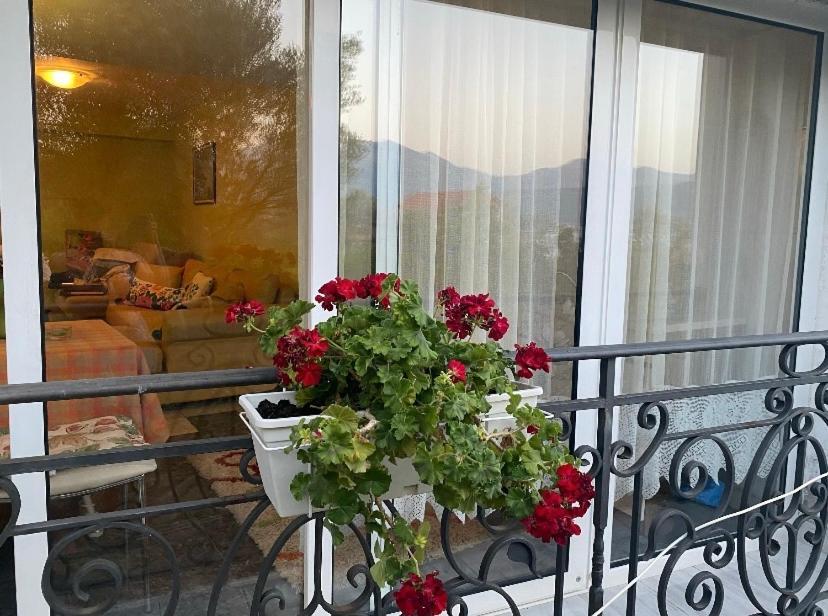 Villa Mare Apartments Tivat Buitenkant foto
