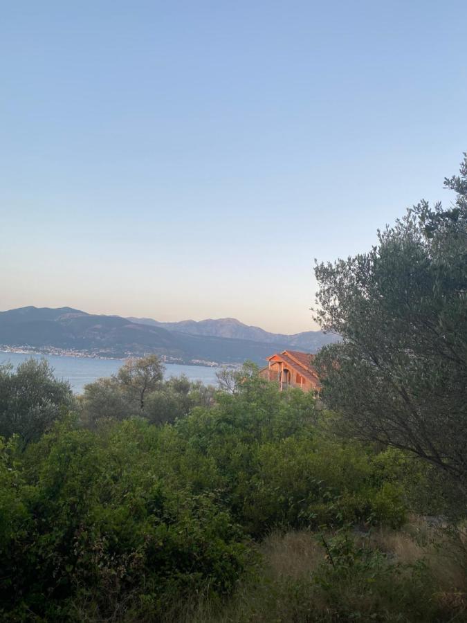 Villa Mare Apartments Tivat Buitenkant foto